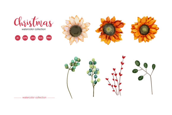 Christmas Flower Watercolor Collection for Branding and Design Projects