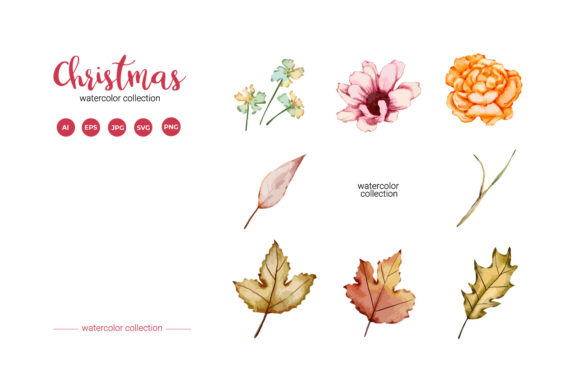 Christmas Leaf Watercolor Collection Set for Illustrations