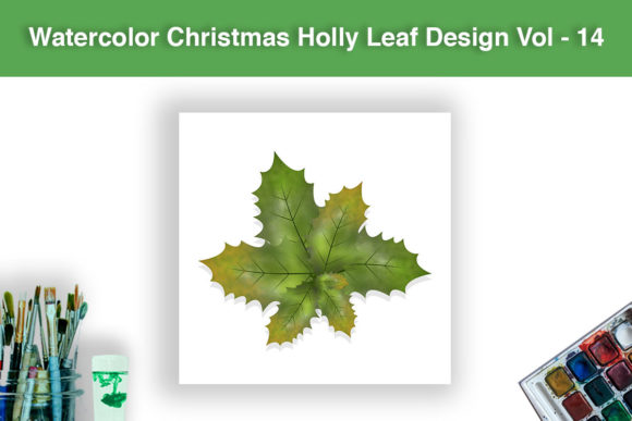 Watercolor Christmas Holly Leaves Design for Illustrations